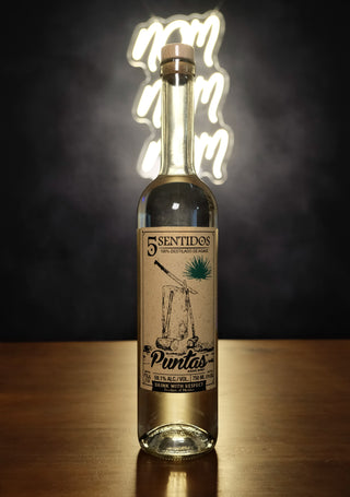 Cinco Sentidos Puntas